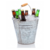CERVEJA